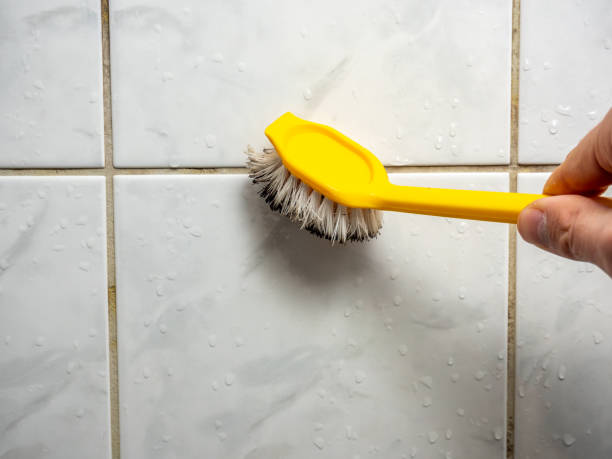 Best Mold Removal and Inspection  in Glen Rose, TX