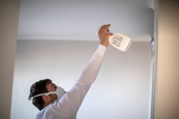 Best Black Mold Removal  in Glen Rose, TX