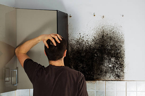 Best Mold Removal Company Near Me  in Glen Rose, TX